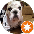 Jorge Castro profile picture